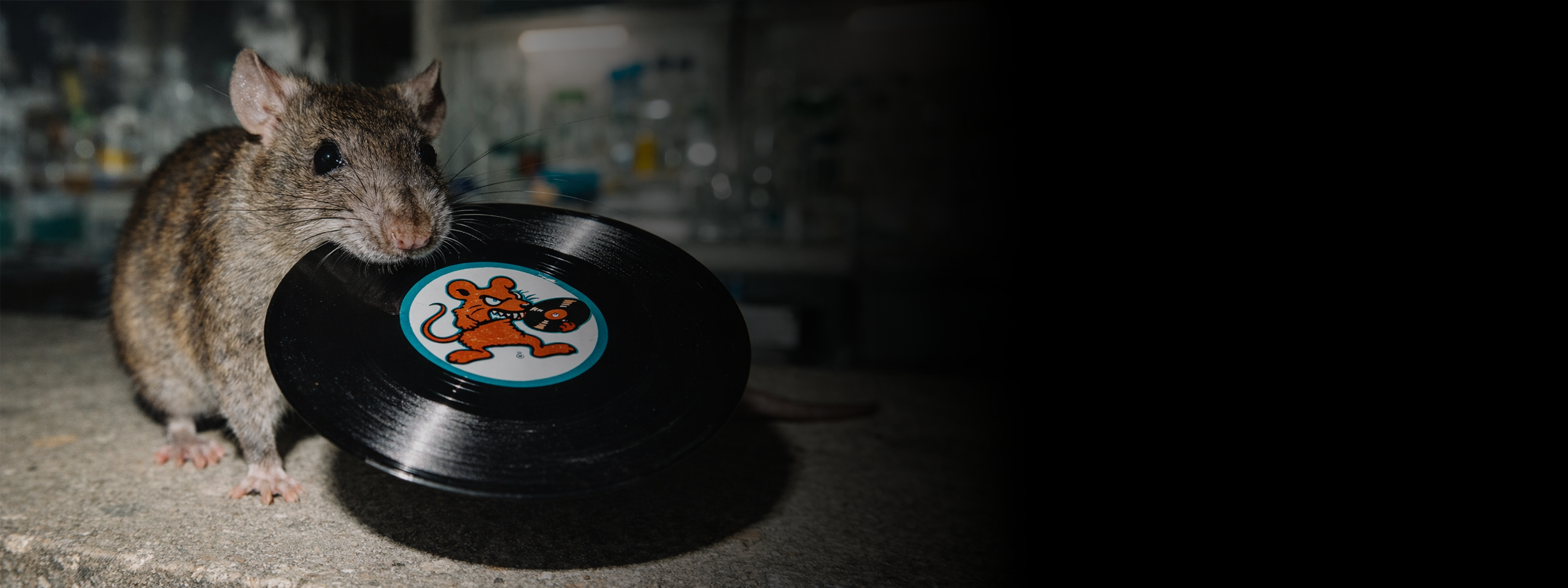 A mouse holding a vinyl record with a cartoon lion logo in a laboratory setting.