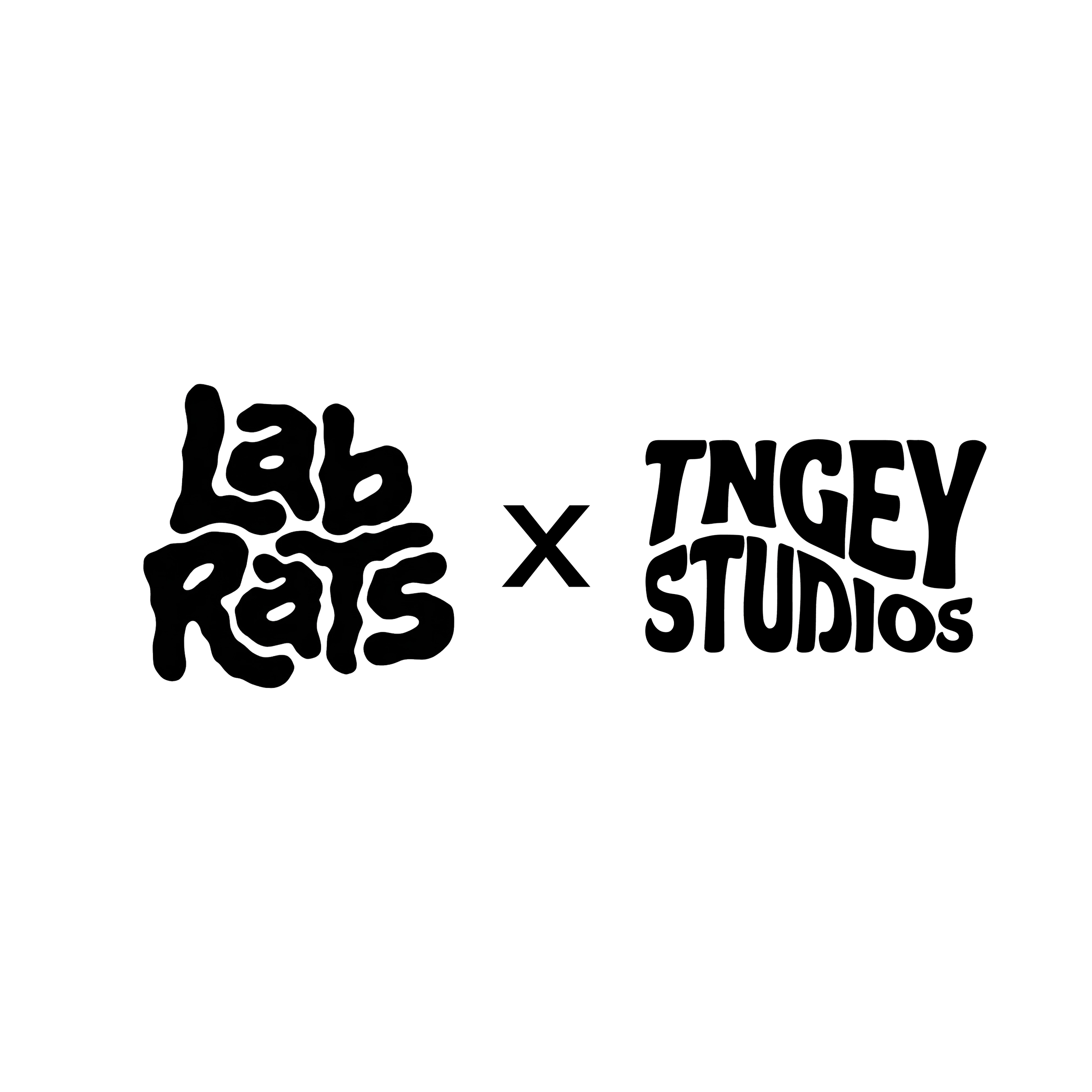 Black background with white line art featuring the logos of Lab Rats and Tingey Studios.