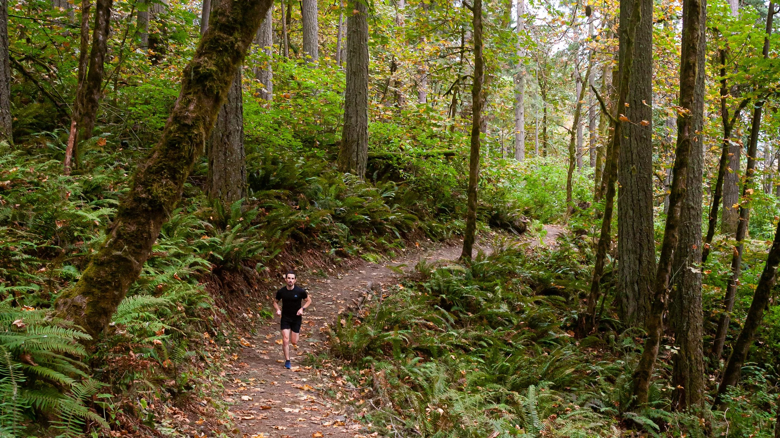 Personal Trainer, Damian McDonald, trail running on a trail in the forest.