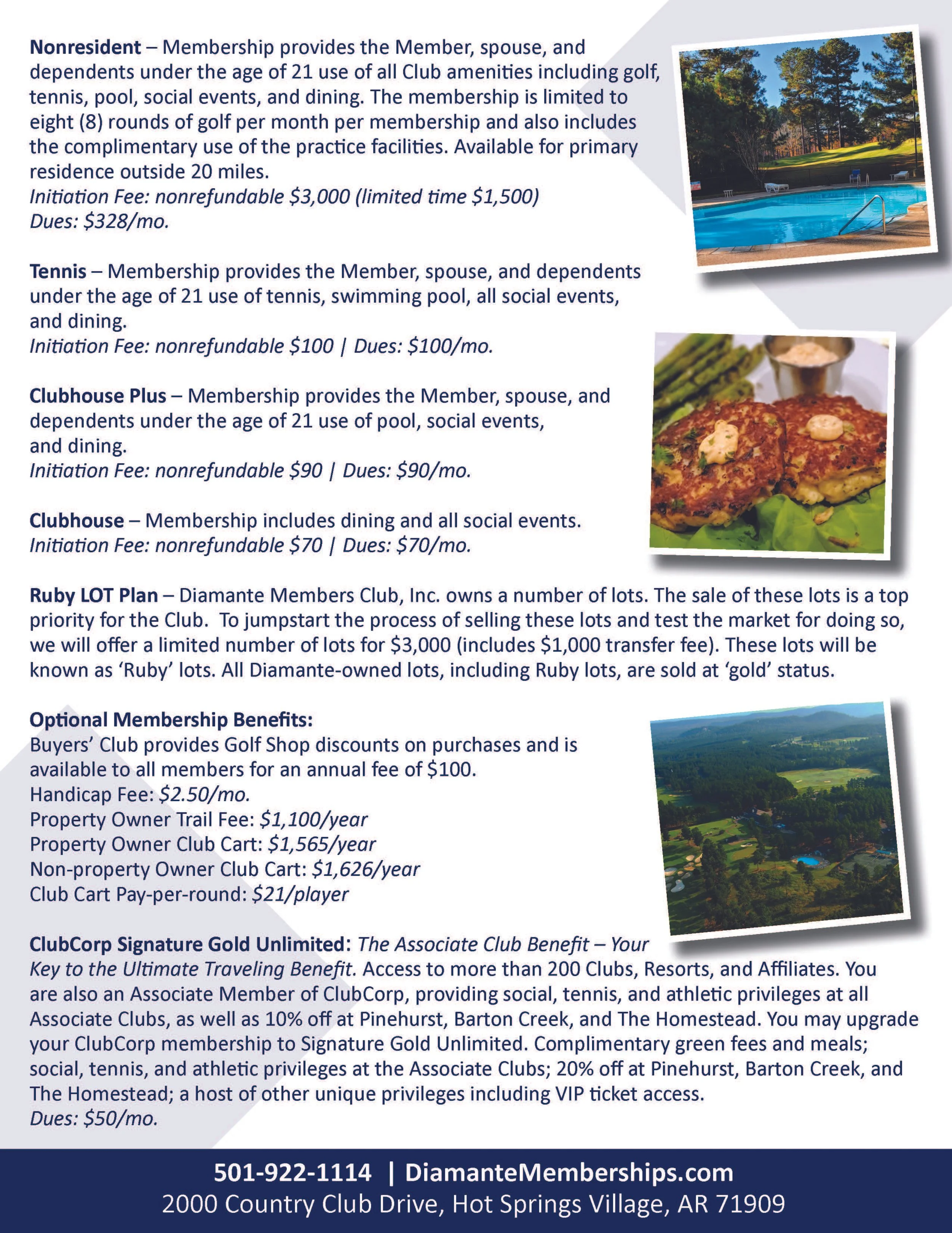 Diamante Member Flyer