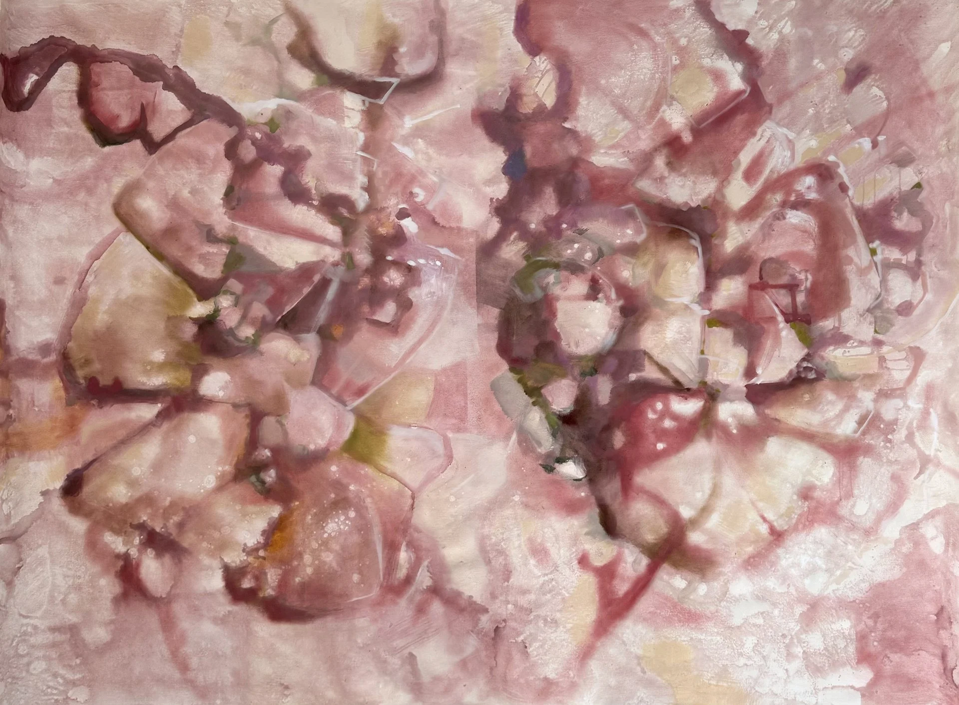 Close-up of pink and white flowers with abstract, painterly effects.