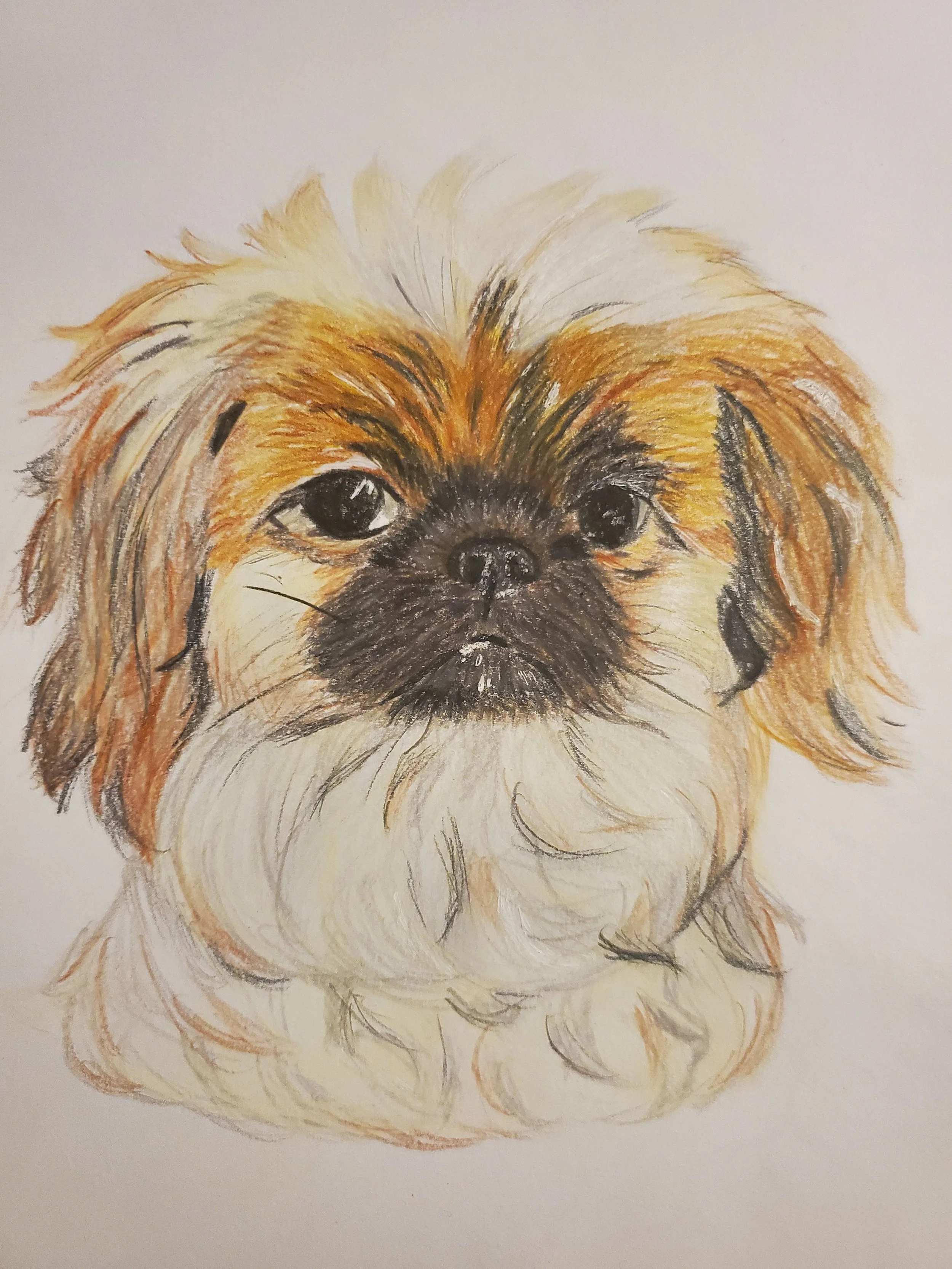 Mister Peanut Colored Pencil.jpg