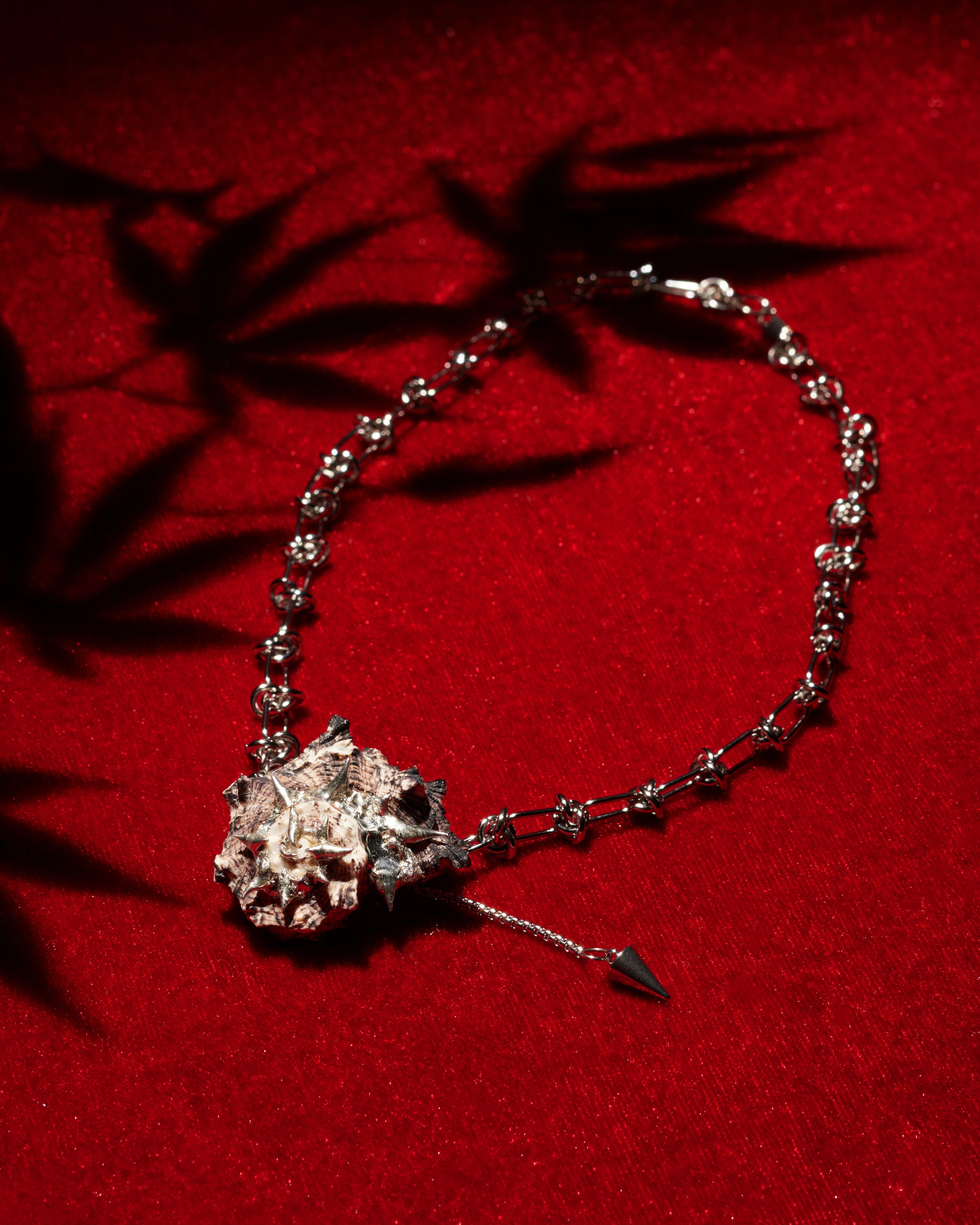 250529_Zhu_Haining_Still life2741.jpg