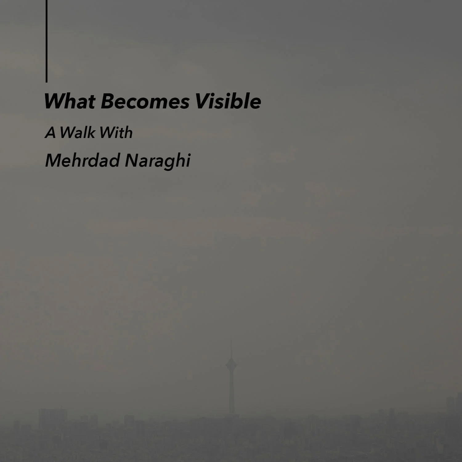       
  
        What Becomes Visible    A Walk with Mehrdad Naraghi    Hadi Nasiri      In late fall of 2024, on a rainy afternoon around 2pm, Mehrdad and I entered Prospect Park from the east side through Garfield Street. The park was not empty, b