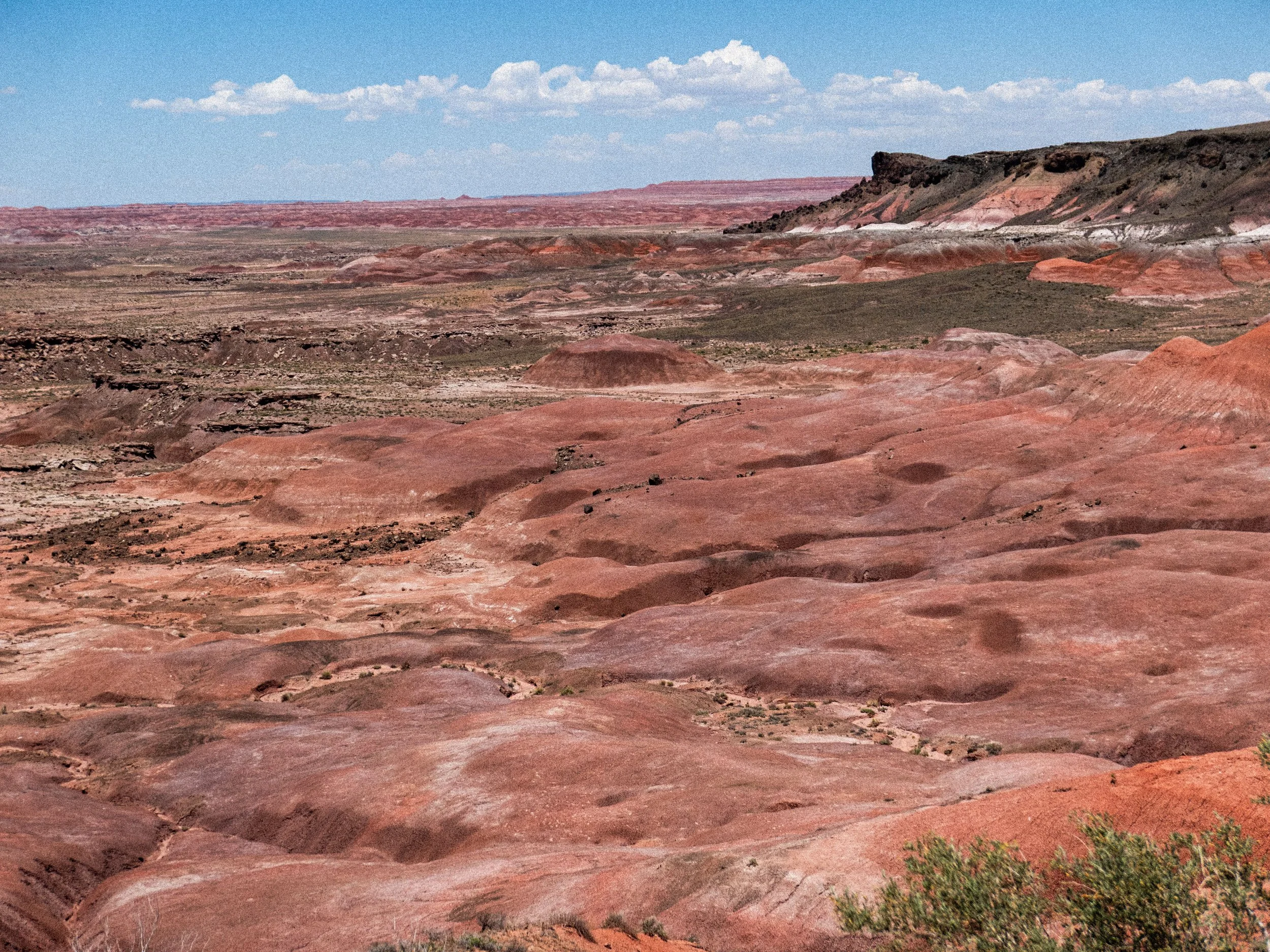       
  
     A Loop Through the Petrified Forest    Hadi Nasiri       I entered from the south side of the Petrified Forest.    That detail feels important now in a way it did not feel important then. Anthropologists often write about movement as i