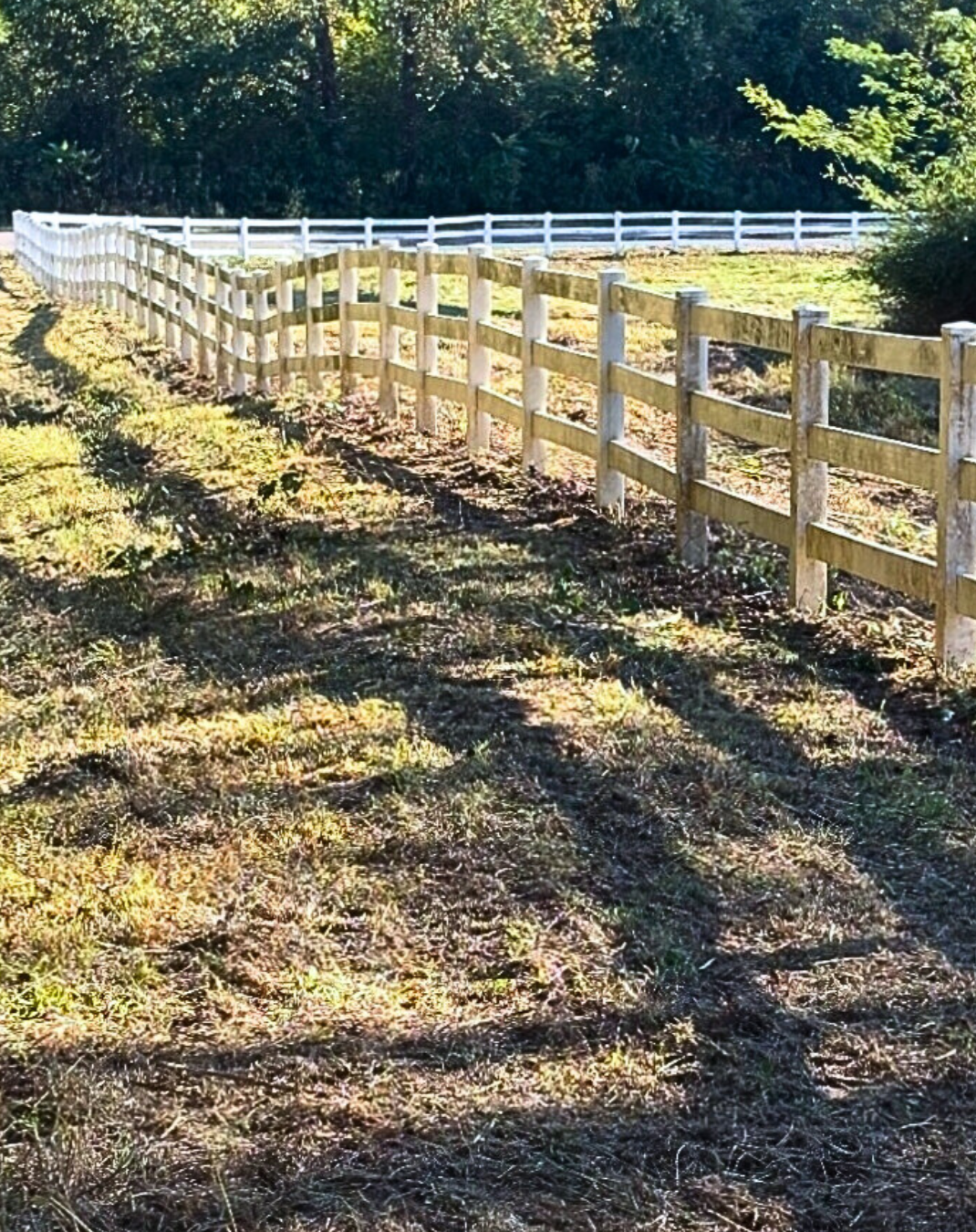 A curved wooden fence along a grassy area with trees and bushes in the background, casting shadows on the ground.