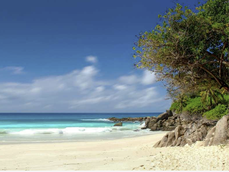 Screenshot 2026-01-10 at 1.05.05 AM.png