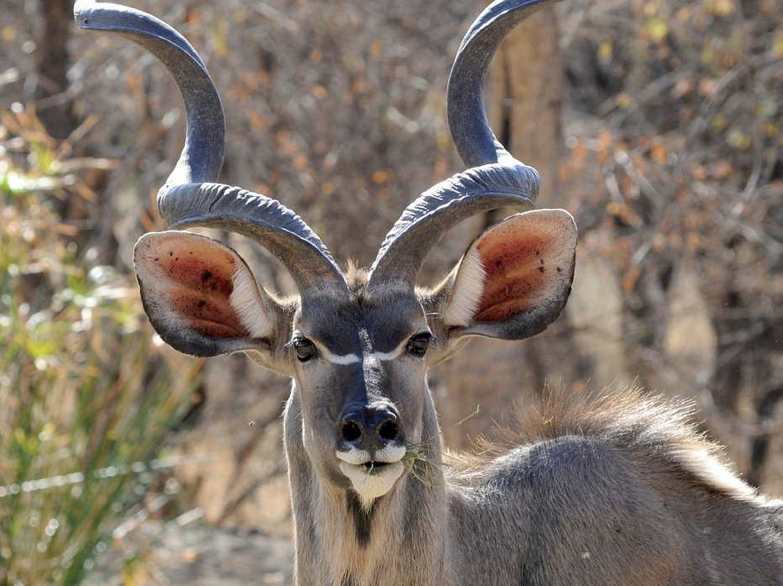 Screenshot 2026-01-10 at 1.04.50 AM.png