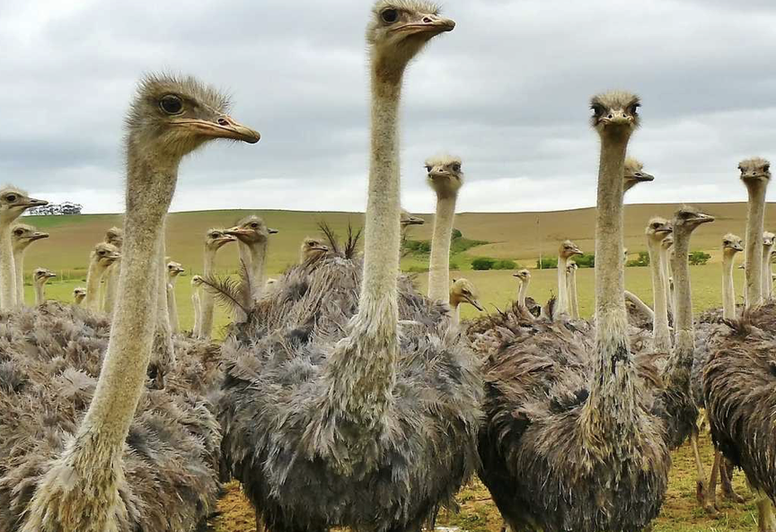 Screenshot 2026-01-10 at 1.04.47 AM.png