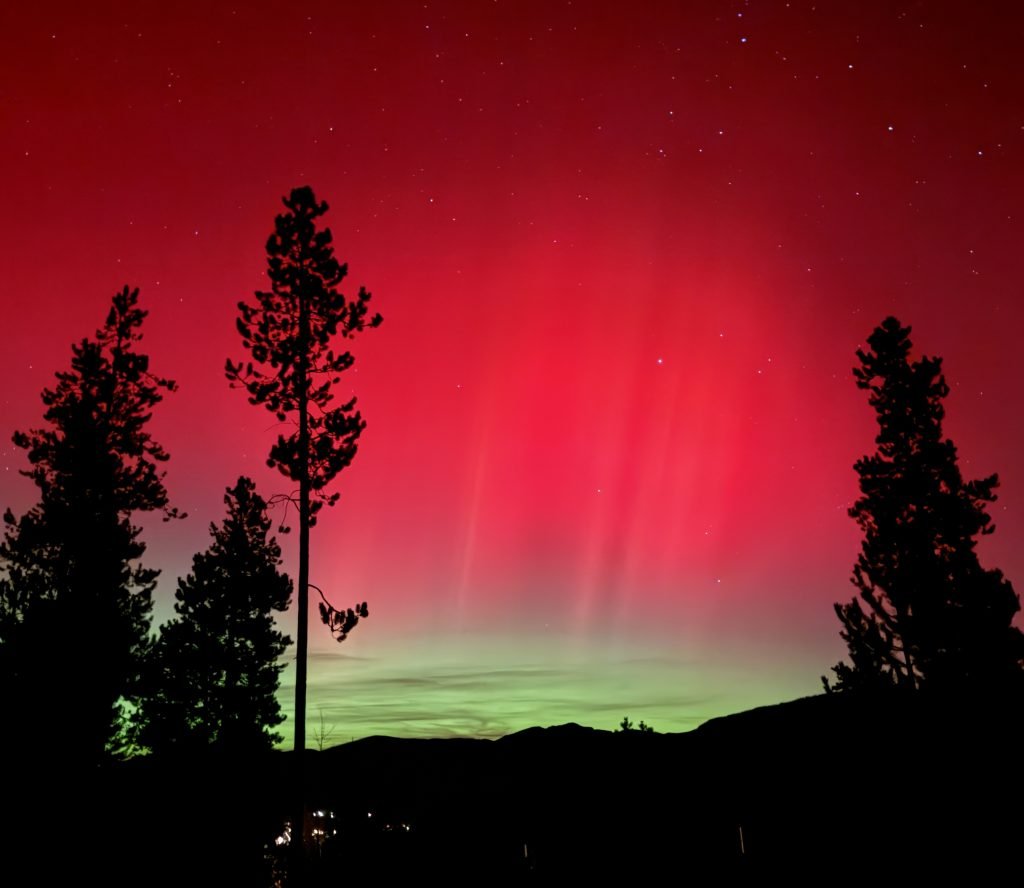 Silhouettes of tall pine trees against a colorful northern lights display with red, green, and pink hues over a mountain landscape at night.