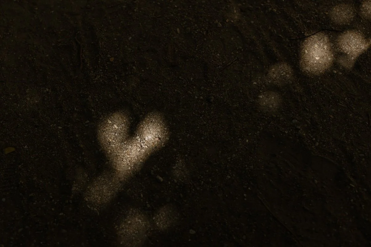 From Paris With Love-Kate Neal Photography.jpg