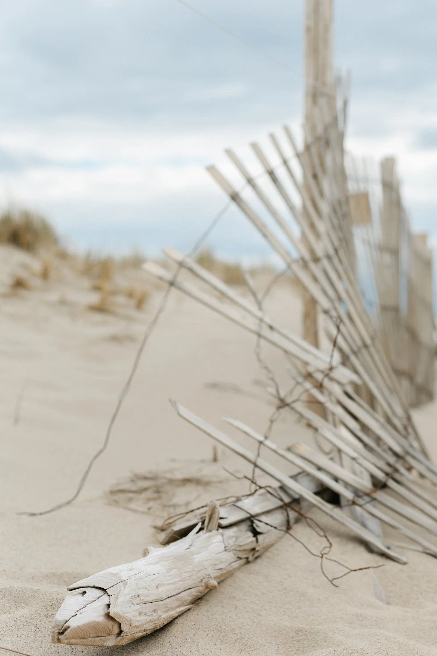 Provincetown-MA-Travel Photography-Kate Neal Photography.jpg