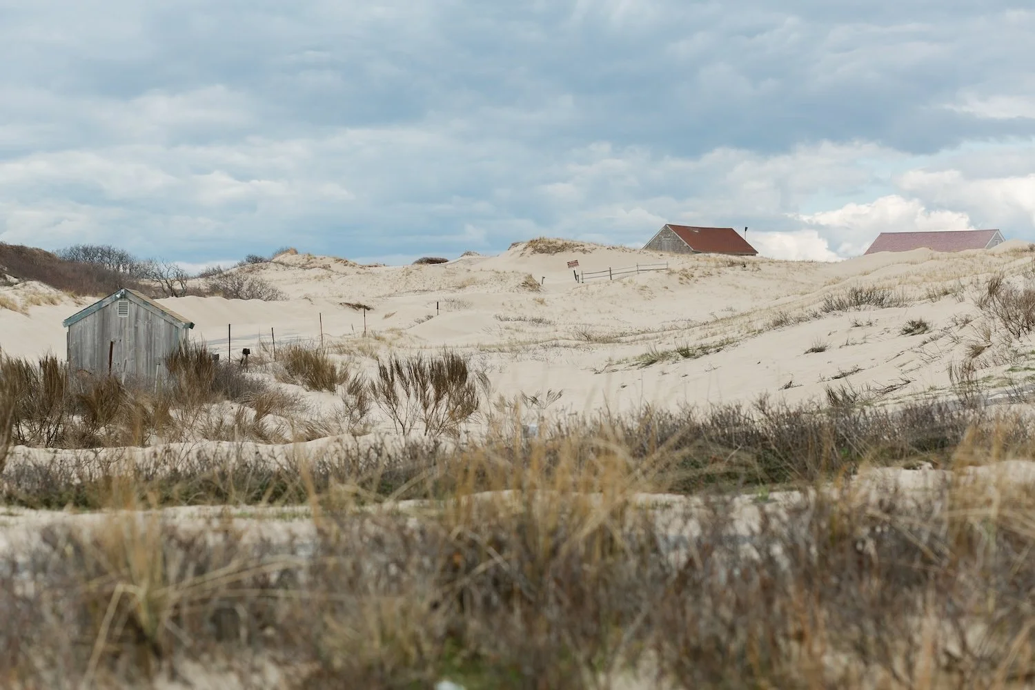 Provincetown-MA-Kate Neal Photography.jpg