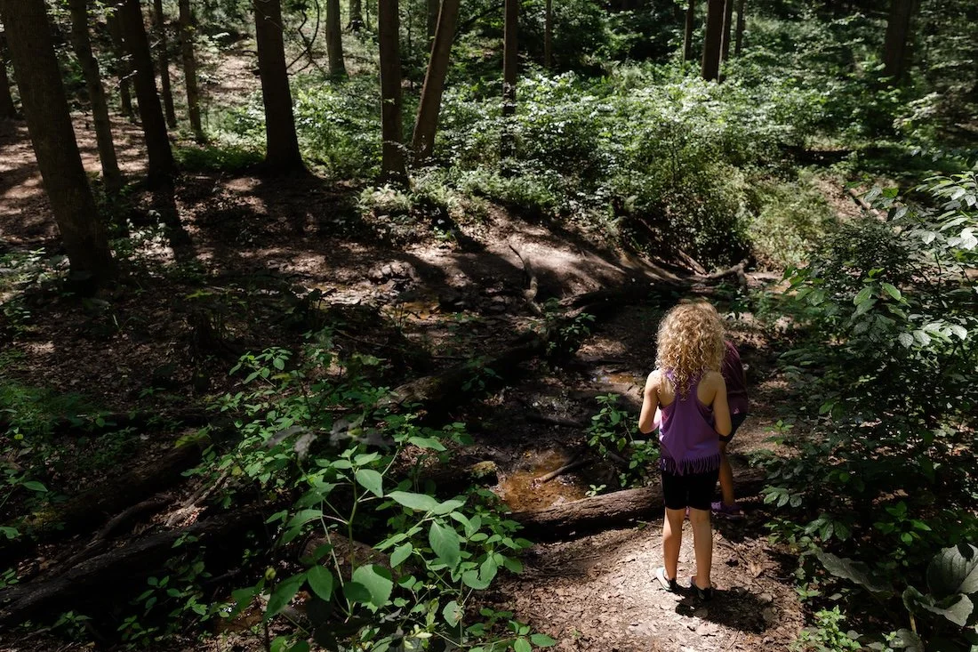 ChesLen Preserve-Camp Wonderkin-Forest Magic-Kate Neal Photography.jpg