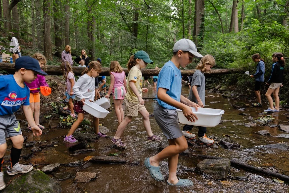 ChesLen Preserve-Camp Wonderkin-Steam Study-Kate Neal Photography.jpg