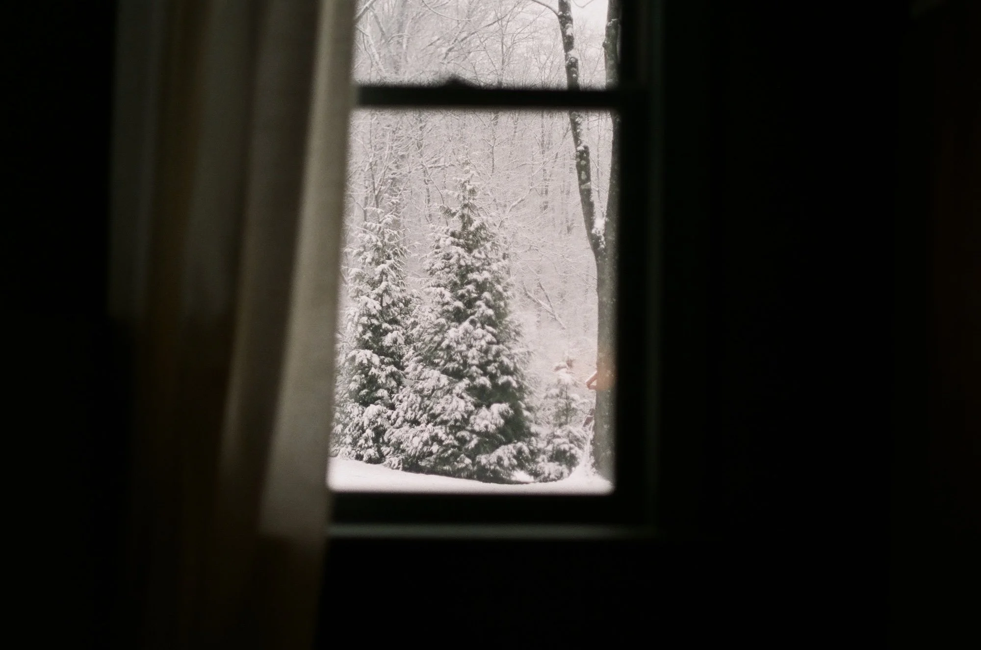 Winter 2026-Fuji400-Kate Neal Photography.JPG