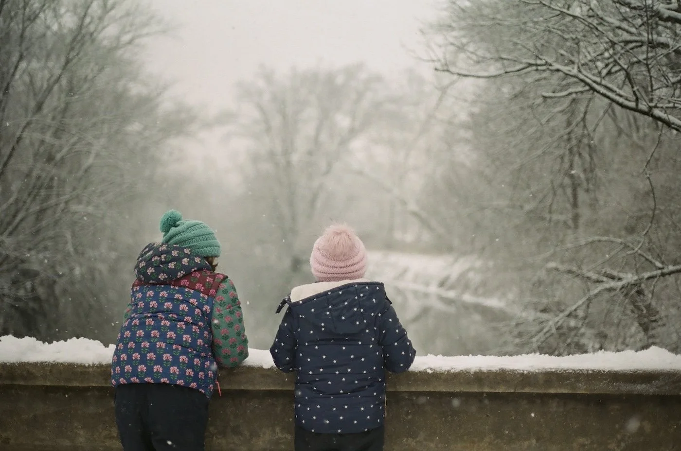 Stroud-Natural Lands PA-Fuji400-Kate Neal Photography.jpg