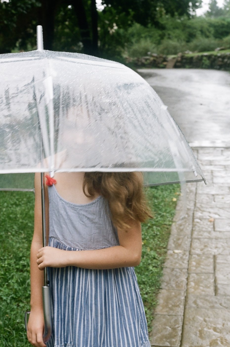 Rain Day Film-Portra400-Kate Neal Photography.JPG