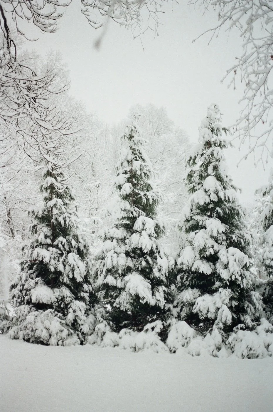 Snow Day Film-Fuji400-Kate Neal Photography.JPG
