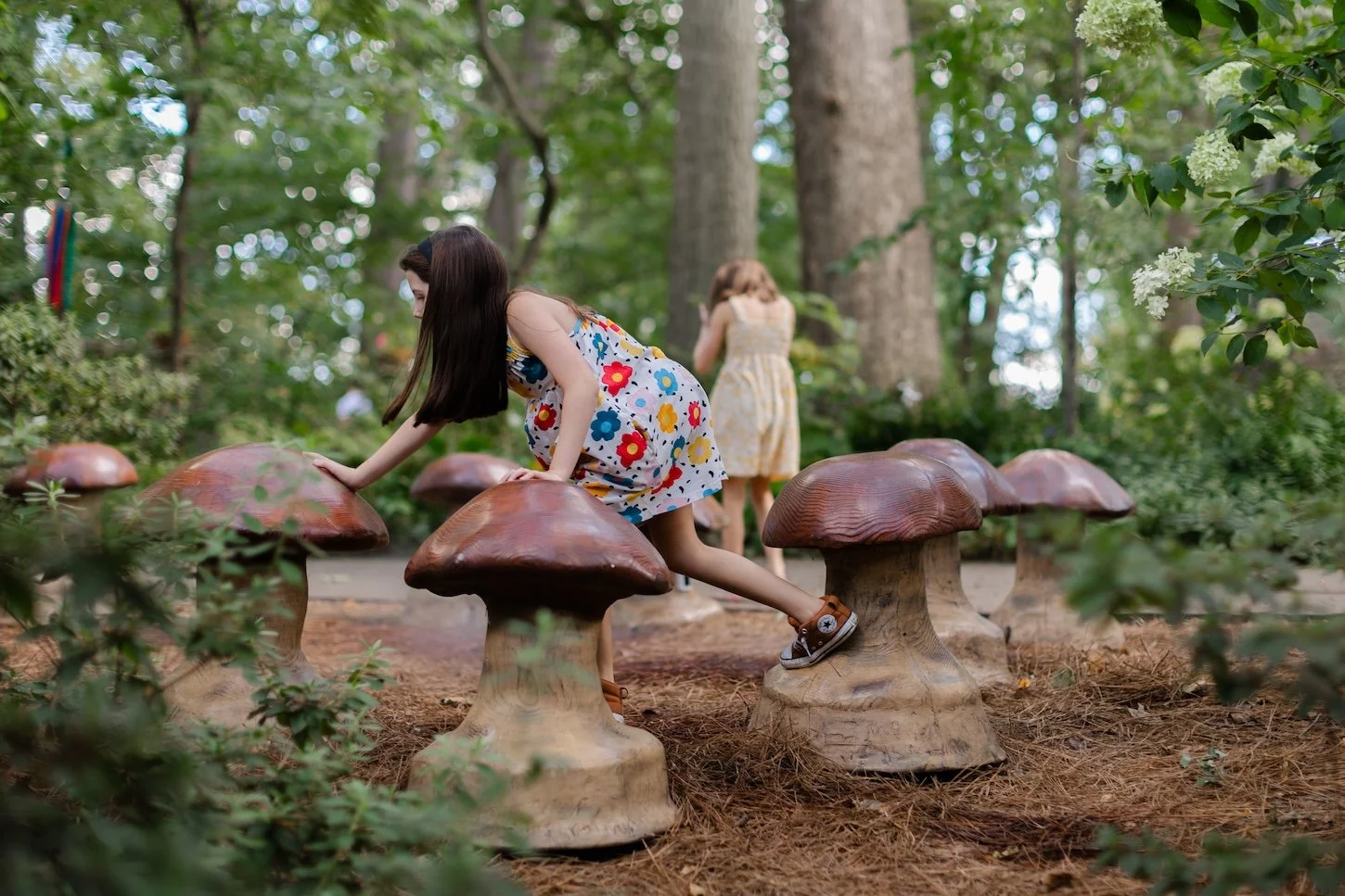 Winterhur Gardens-Fairy Ring-Kate Neal Photography.jpg