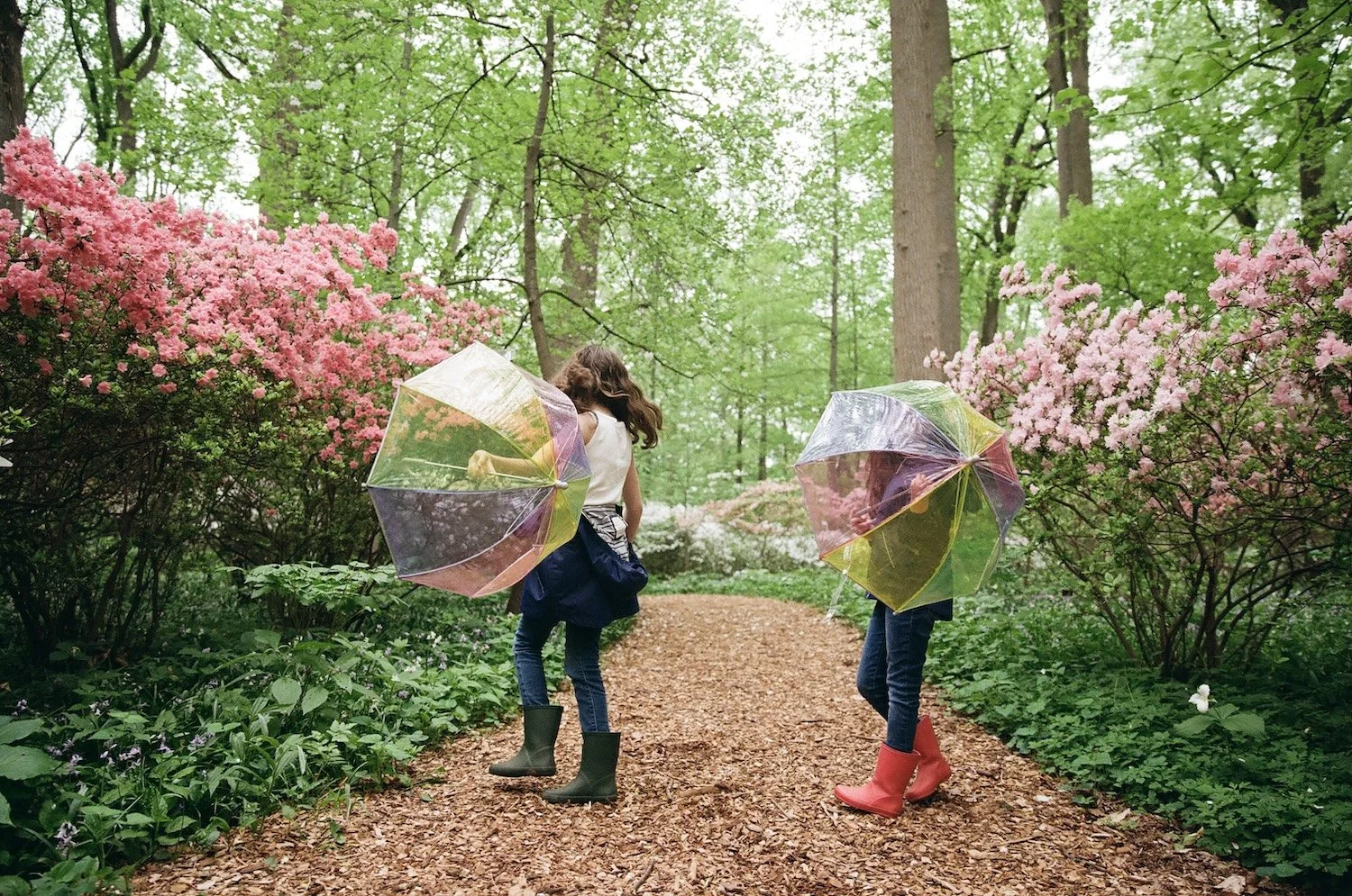 Winterhur Gardens-Delaware Documentary Family Photographer-Kate Neal Photography.jpg