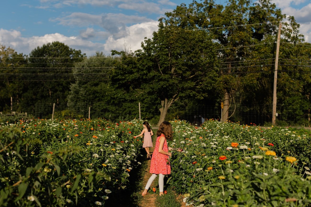 Zinnia Picking-Homeschool Girls-Kate Neal Photography.jpg