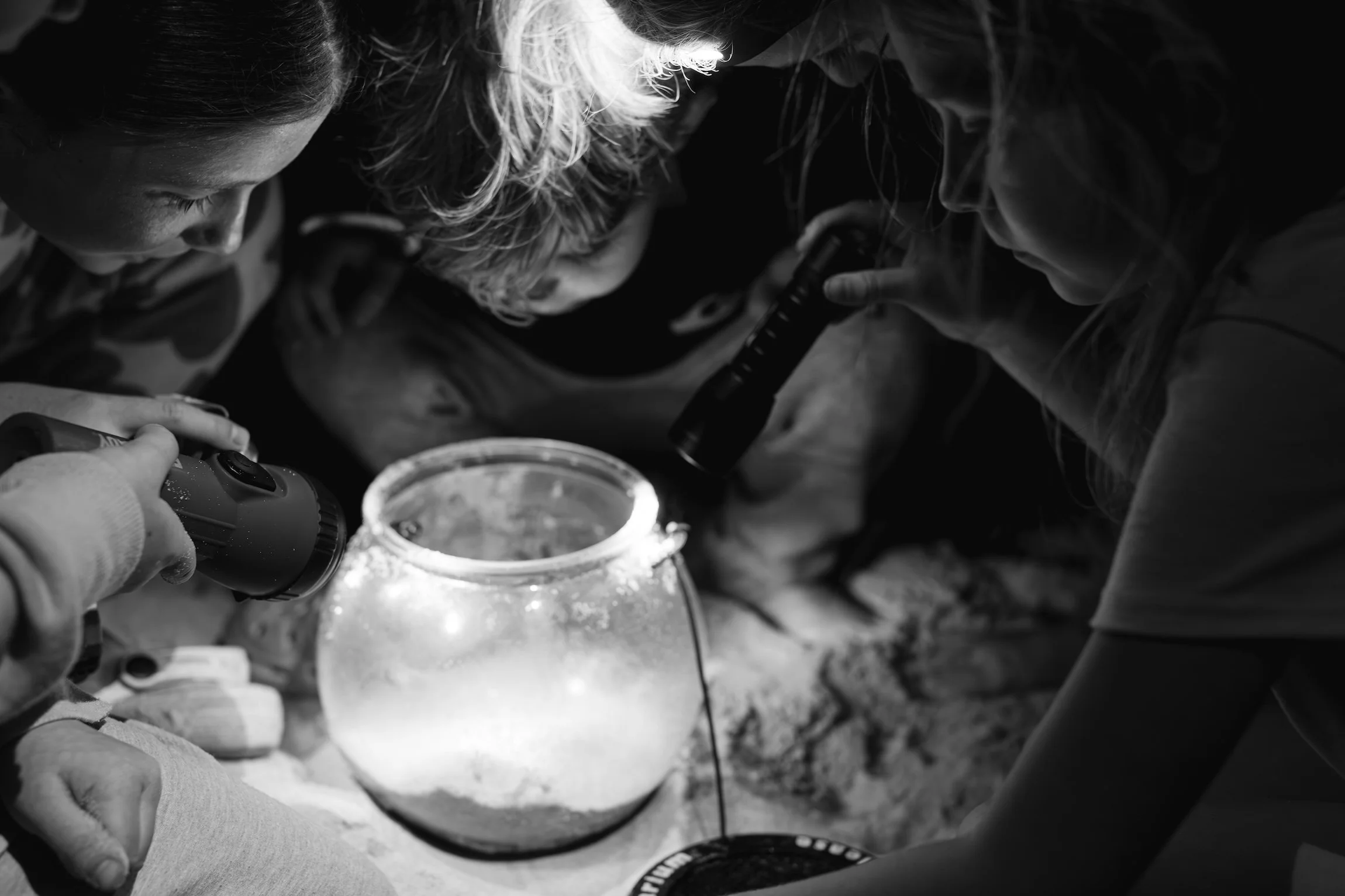 Ghost Crab Hunt-Assateague Island-Kate Neal Photography.jpg