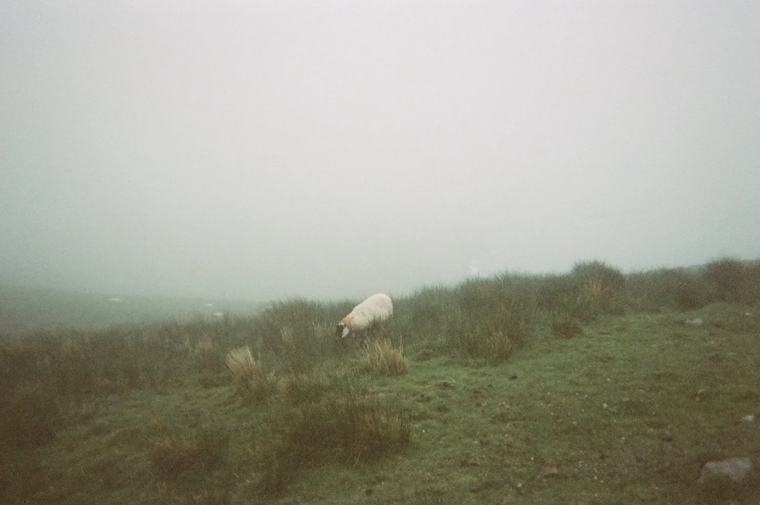 Ireland Film-KateNealPhotograpy.JPG