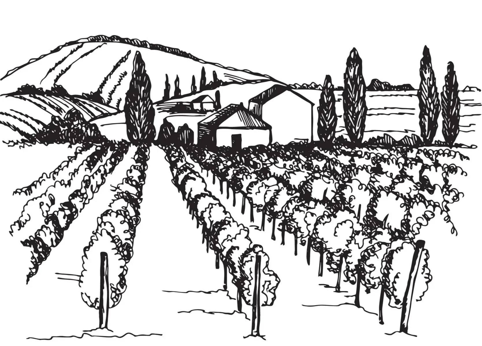 Black and white sketch of a rural vineyard with rows of grapevines, a small farmhouse, and hills in the background.