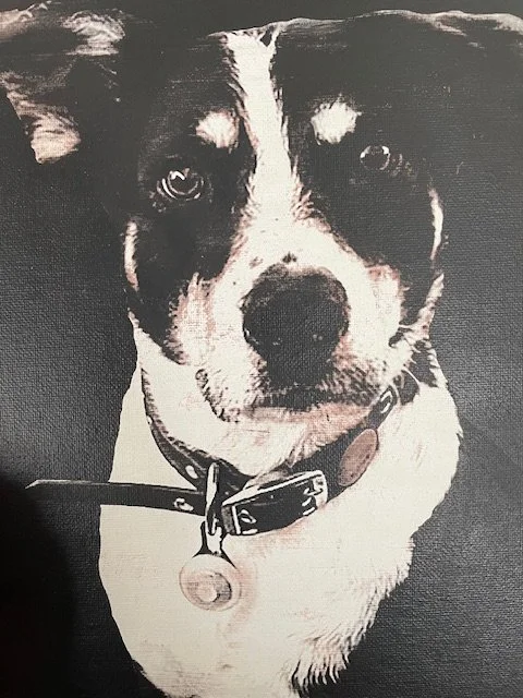 March 7, Laser Engraved Canvas