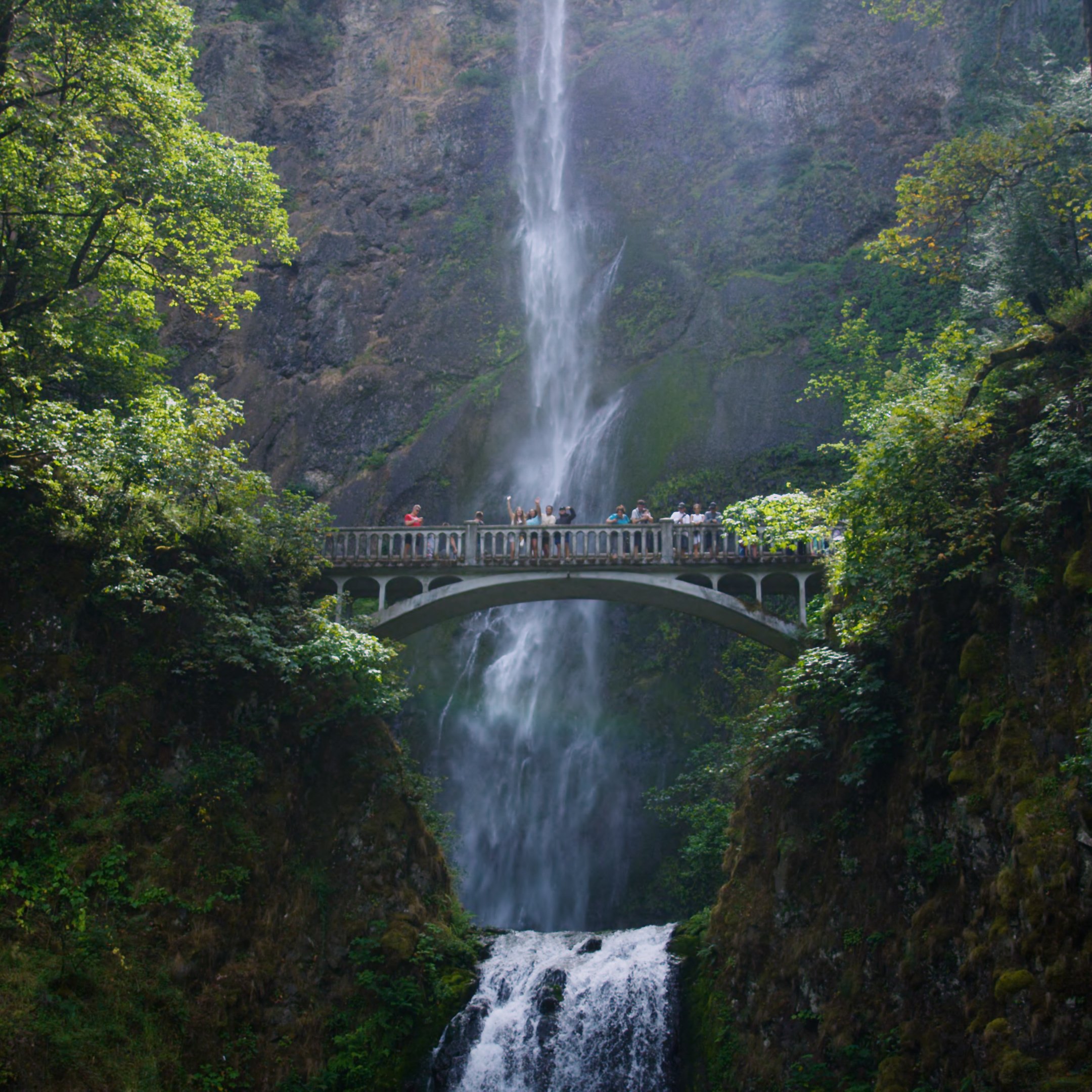 The Pacific Northwest