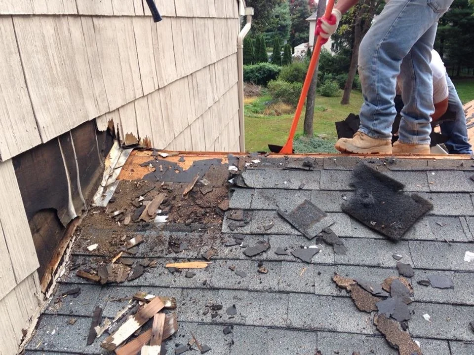 5 Demolition(shingles& cedar shake siding).jpg