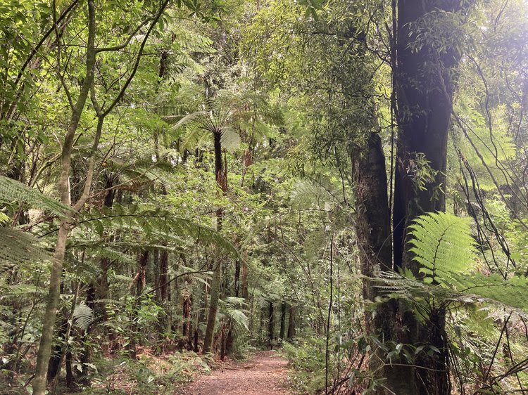 Quiet Times and Gentle Ways