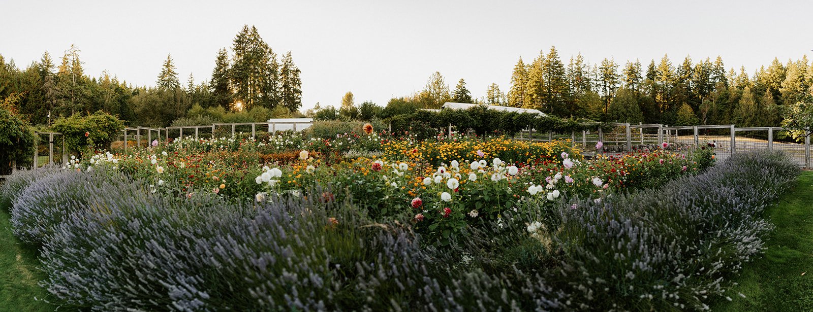 A landscaped garden with a variety of colorful flowers surrounded by lush green bushes and tall trees in the background, during the daytime.