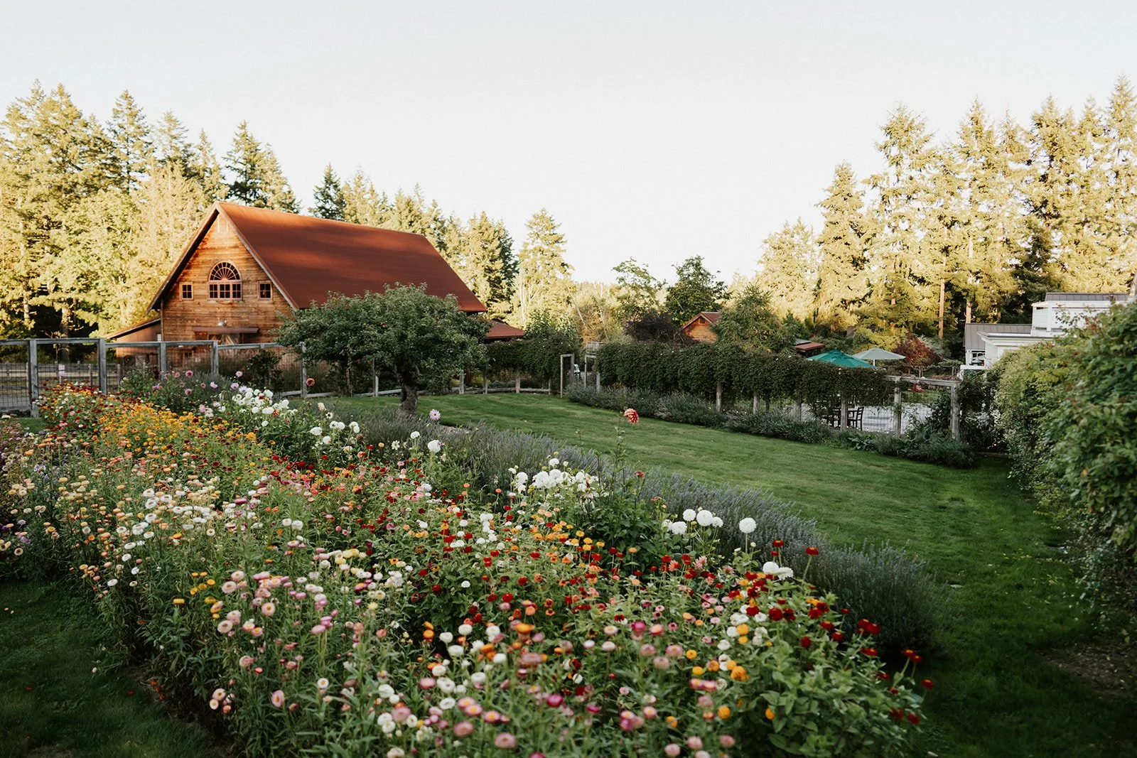A landscaped garden with a variety of colorful flowers surrounded by lush green bushes and tall trees in the background, during the daytime.