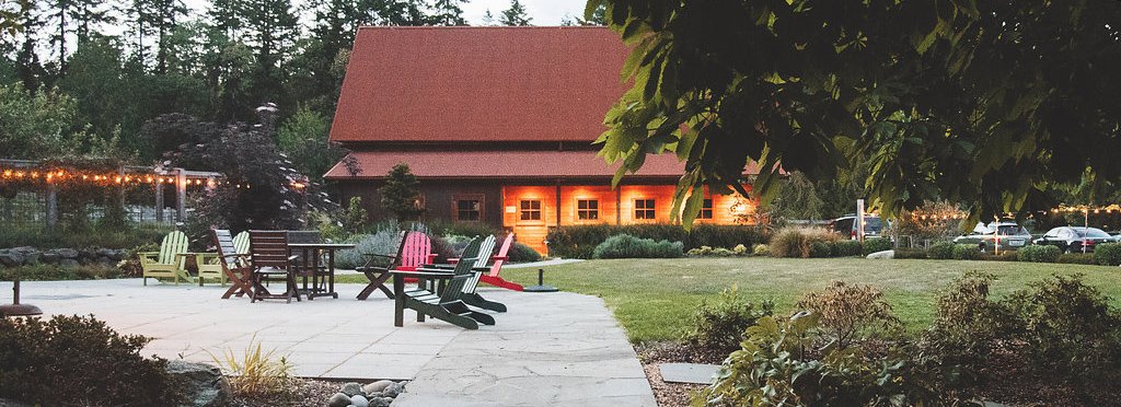 Outdoor patio area with Adirondack chairs and a table, lawn, trees, and a barn in the background, illuminated with string lights at dusk.
