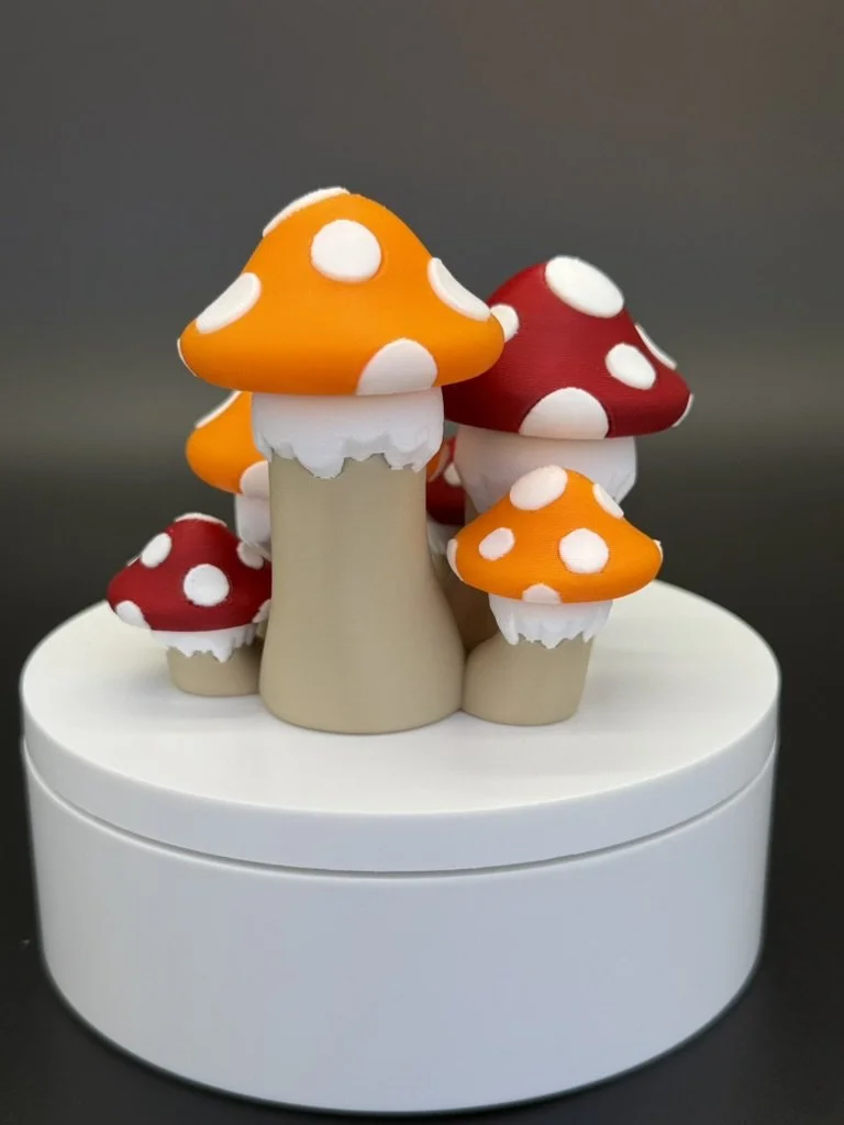 Mushroom Cluster 5.jpeg