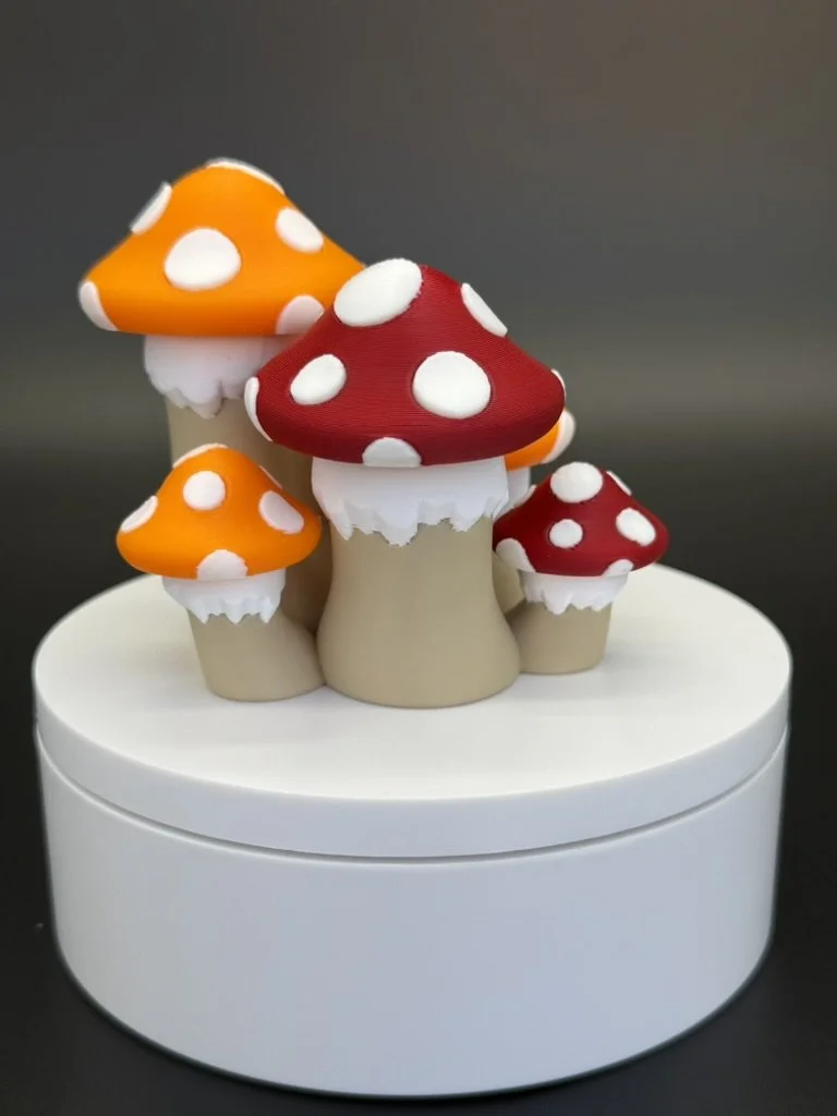 Mushroom Cluster 2.jpeg