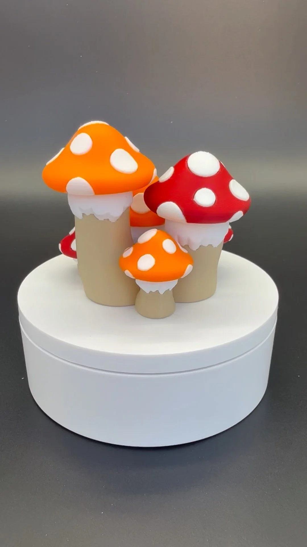 Mushroom Cluster Video.jpeg