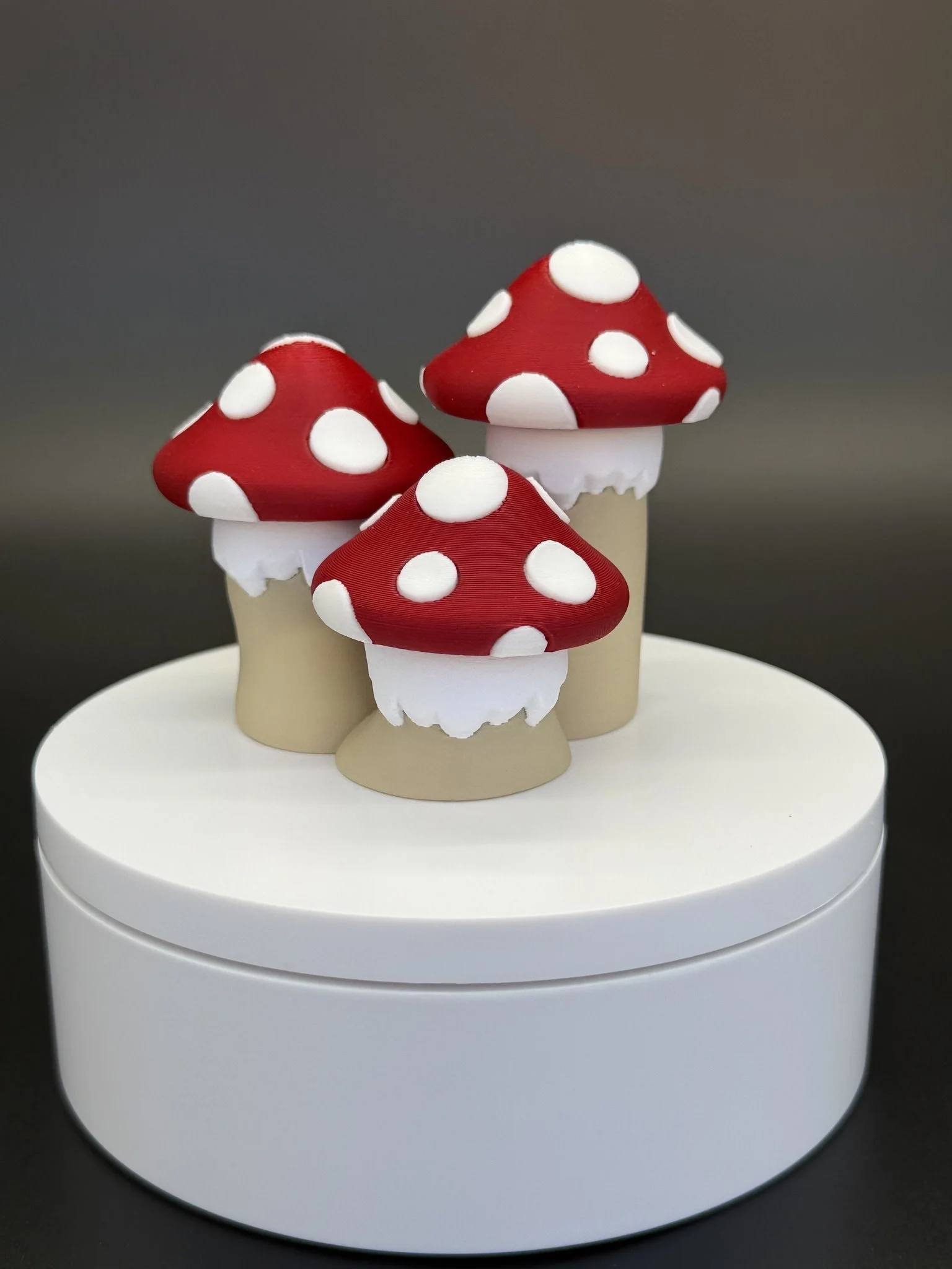 Mushroom_Trio_1.jpg