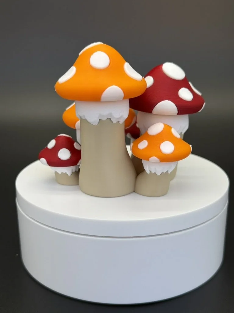 Mushroom Cluster 4.jpeg
