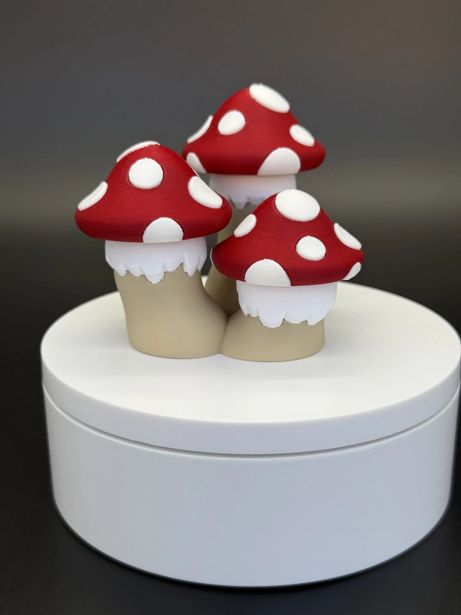 Mushroom_Trio_3.jpg