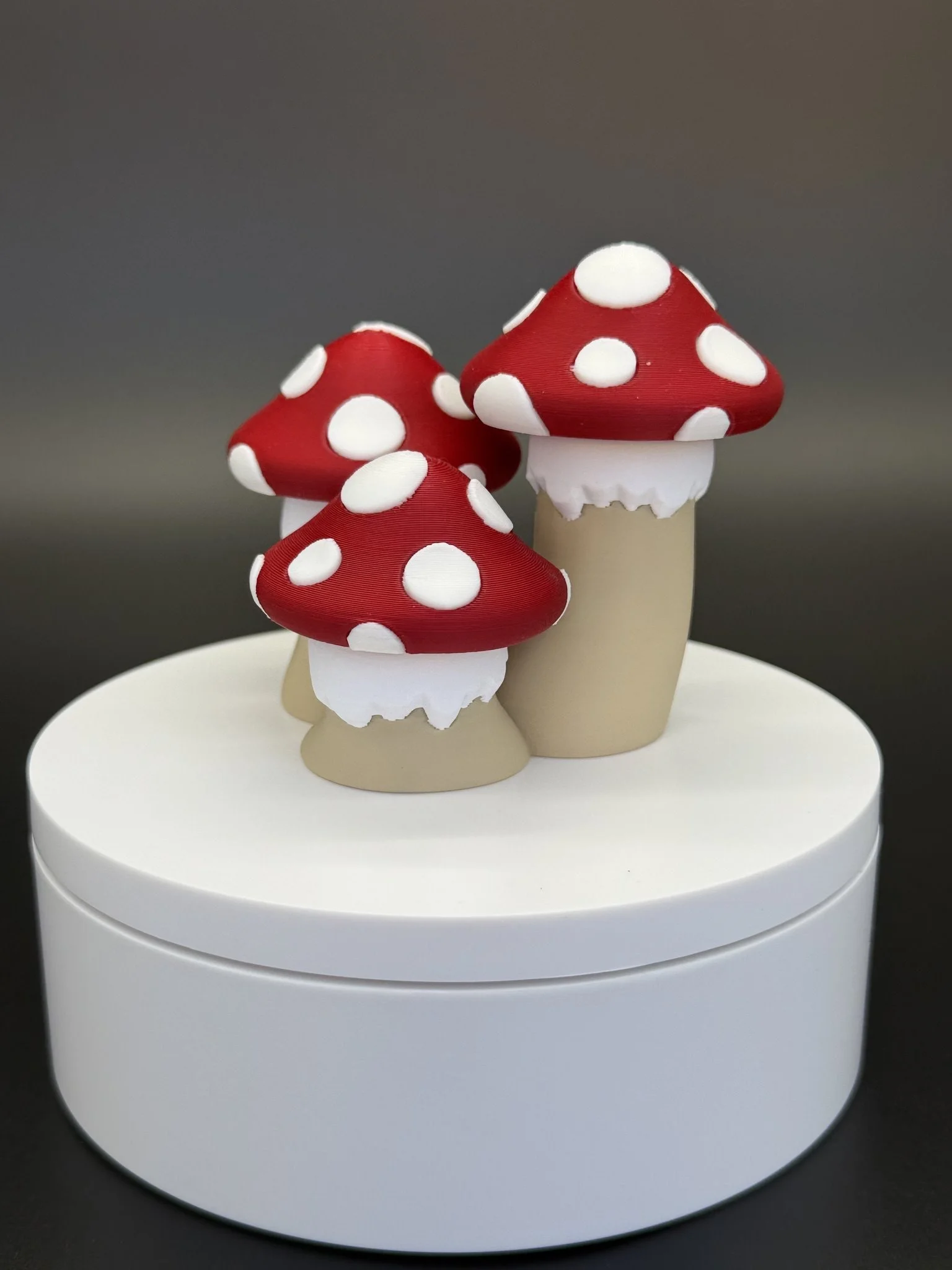 Mushroom_Trio_2.jpg