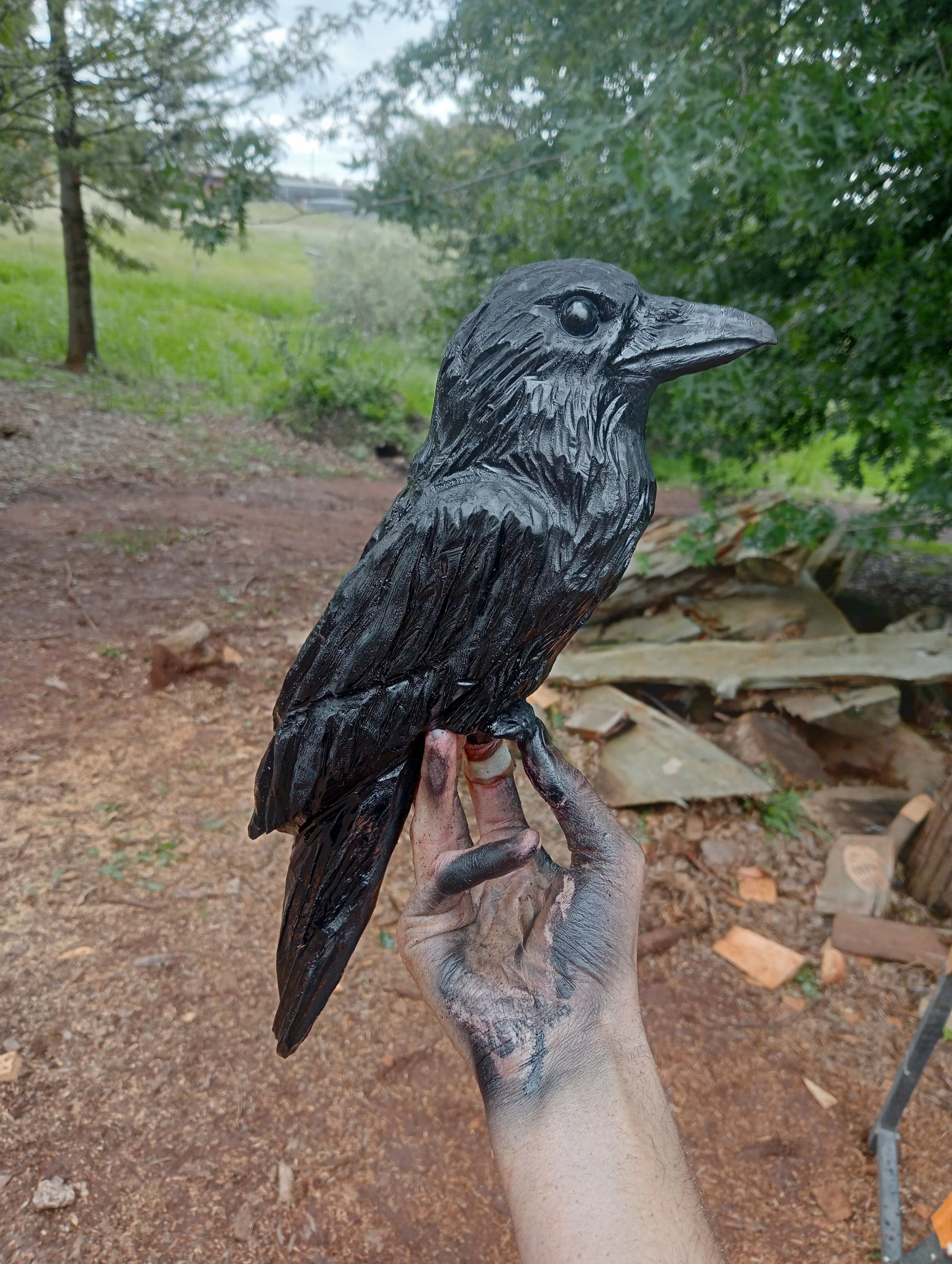 chainsaw carving wood sculpture Australian crow raven