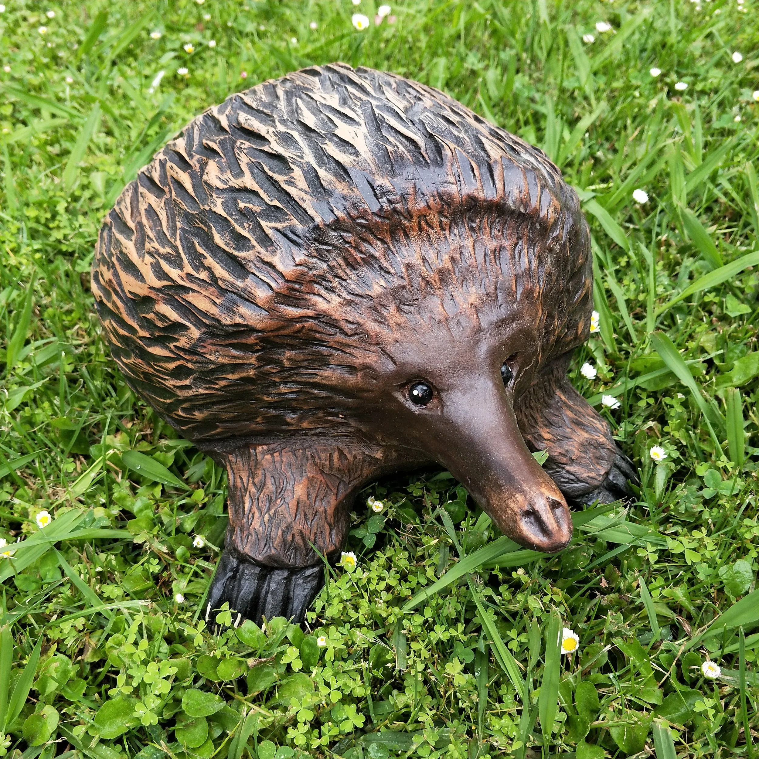 chainsaw carving wood sculpture Australian echidna