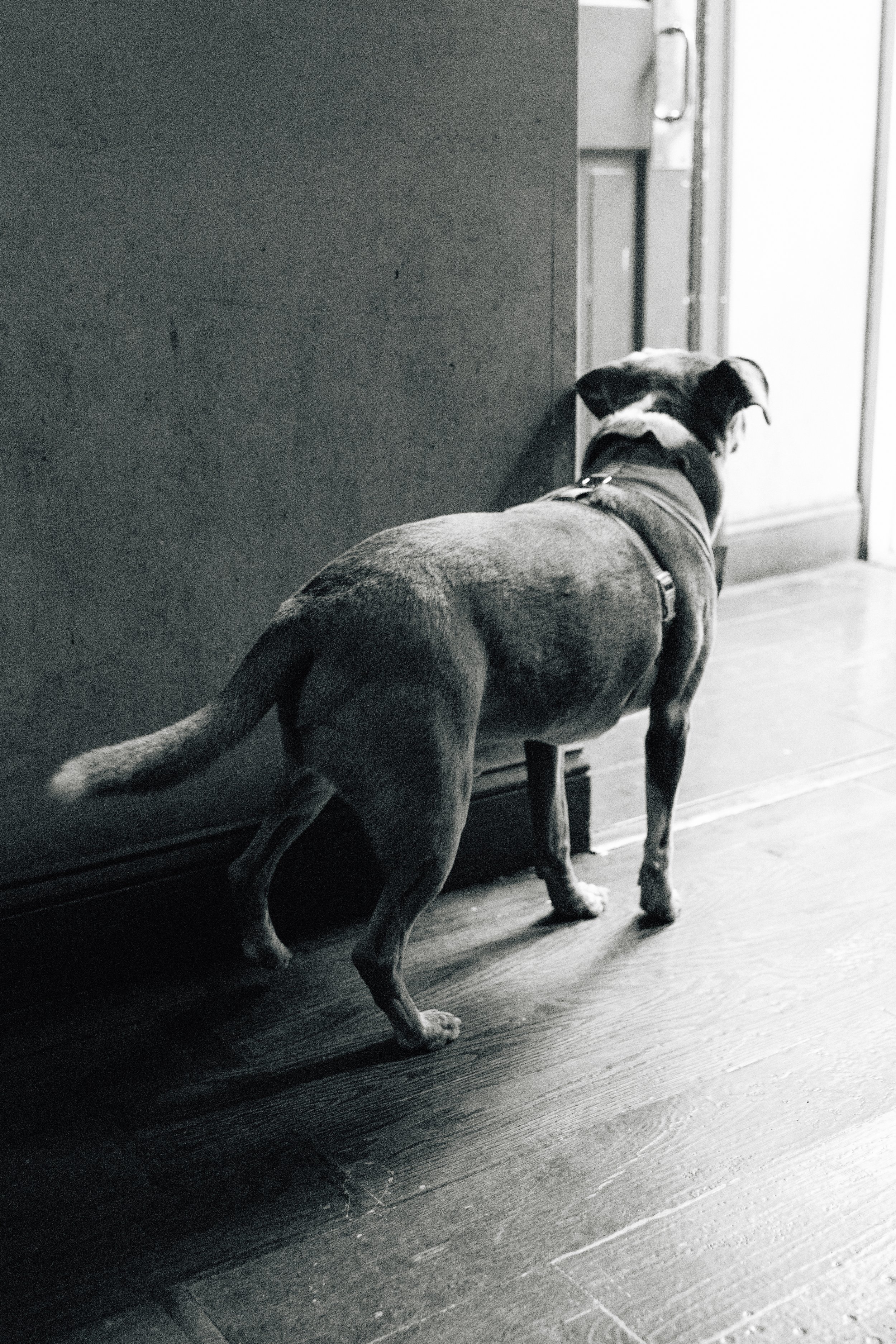 IZZE & MIKE WEDDING-099.jpg