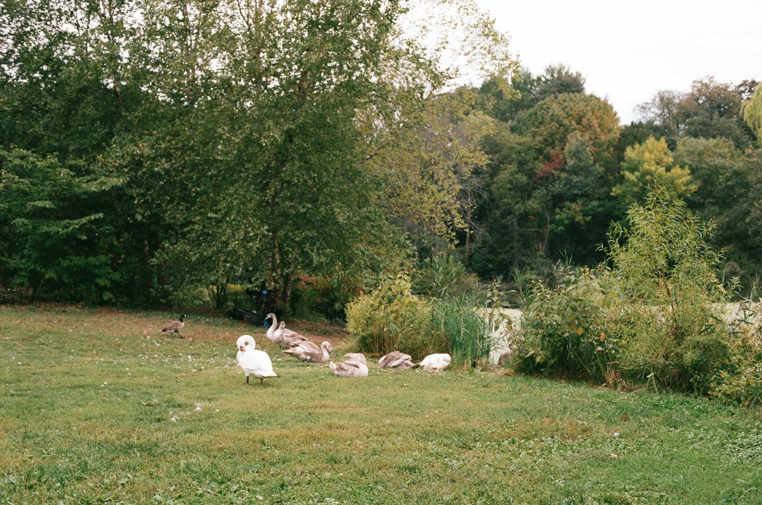 EMILY & JOHN - FILM-11.jpg