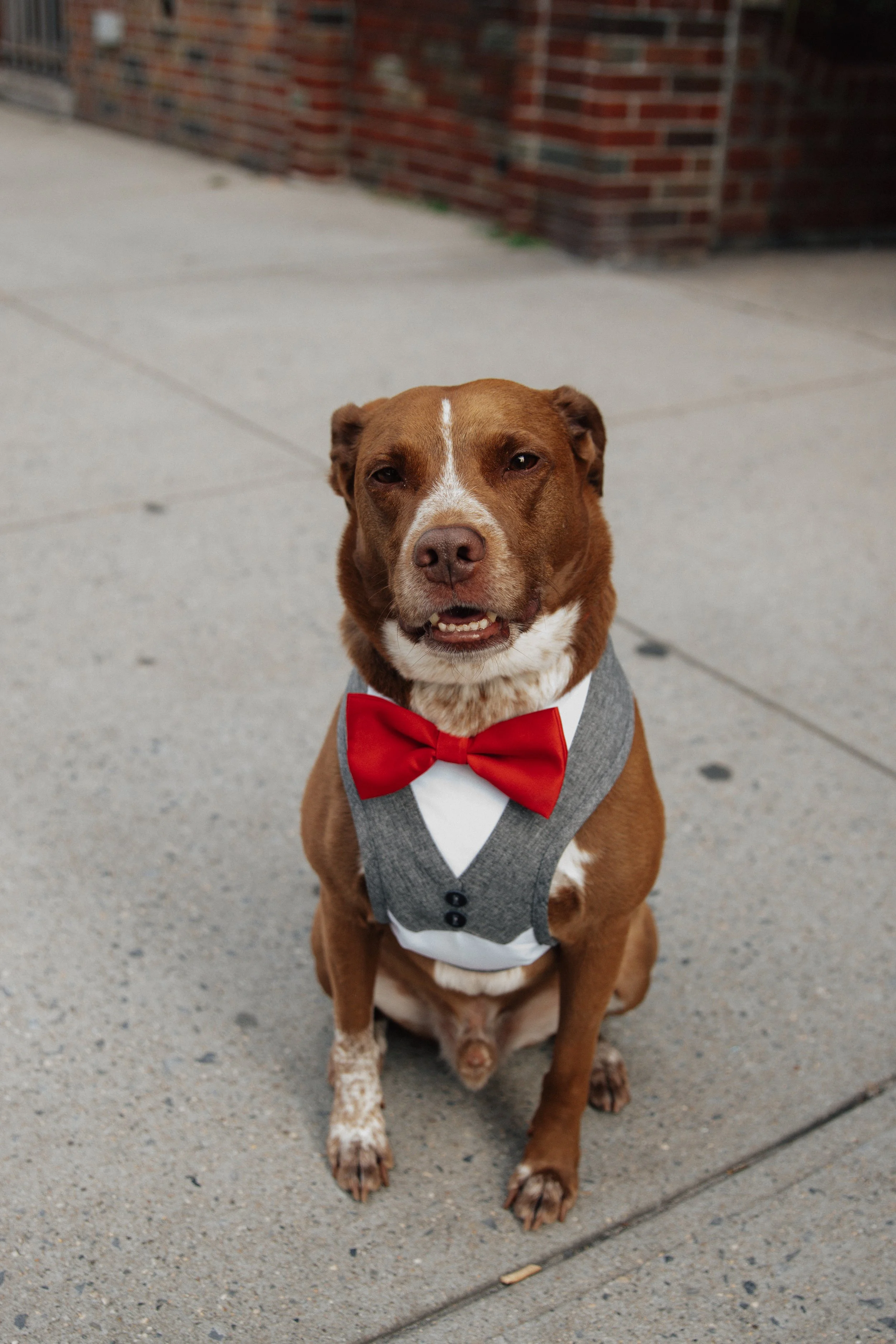 IZZE & MIKE WEDDING-277.jpg