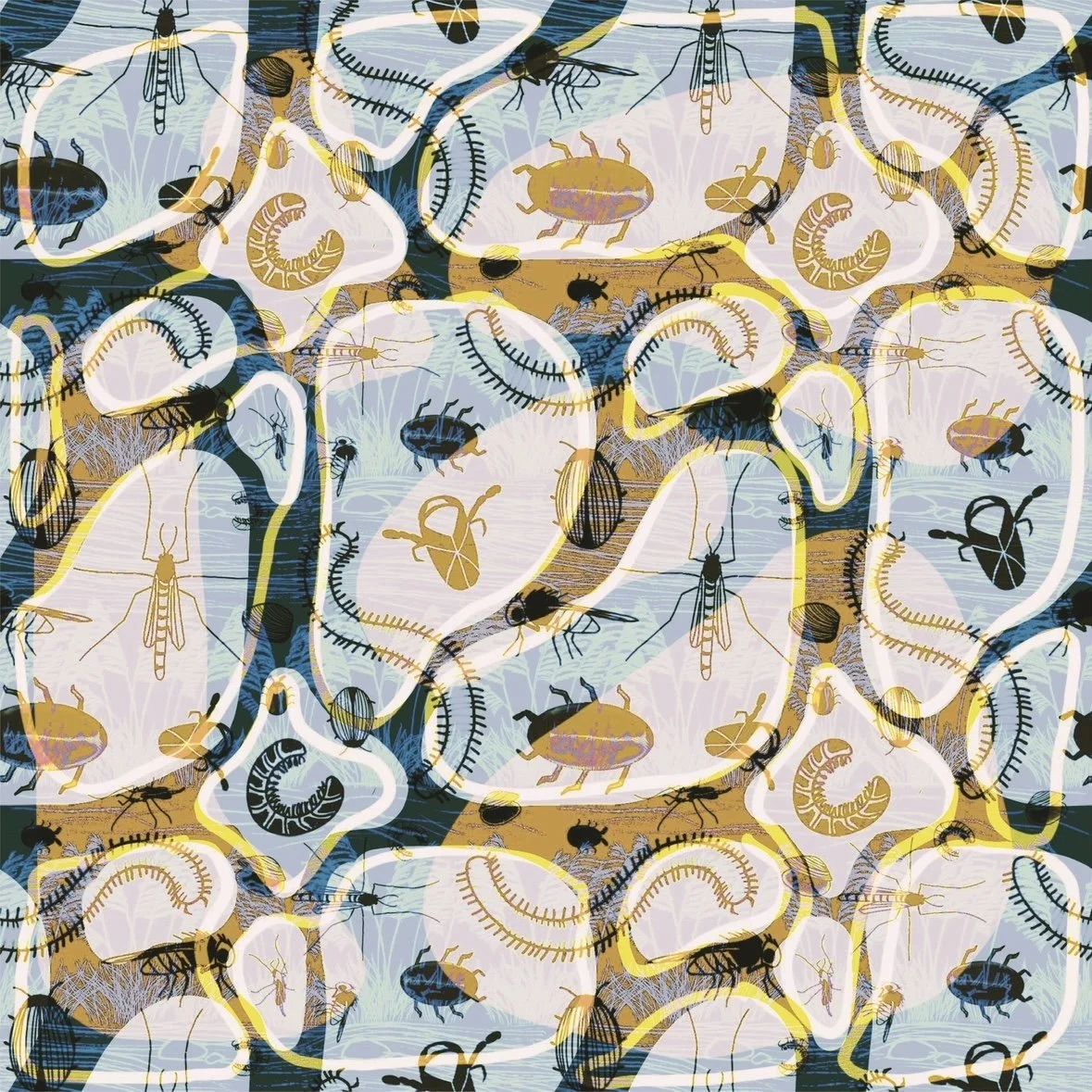 Kaitlyn Robicheau-Hall