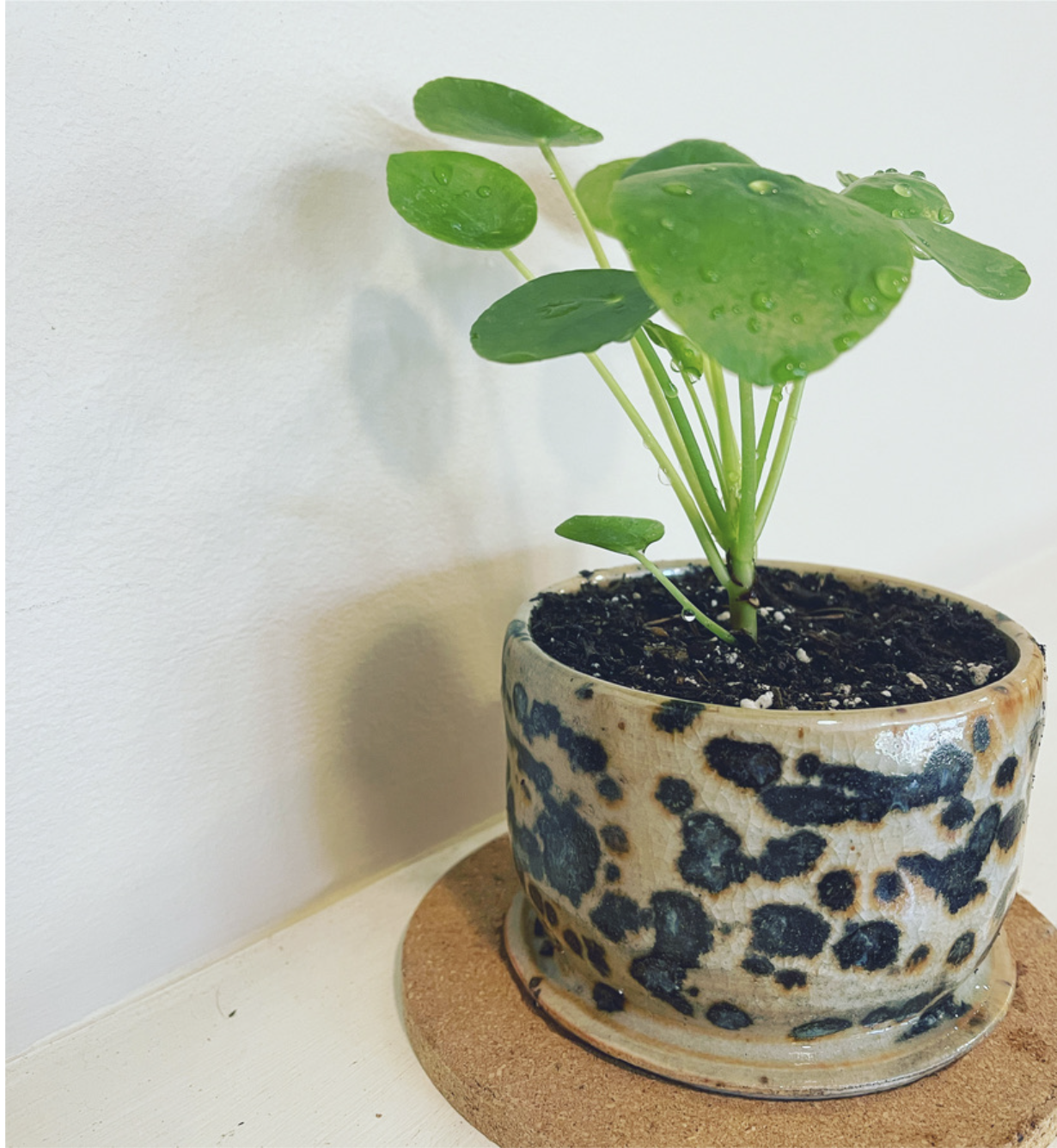 Screenshot 2026-01-14 at 12.35.32 PM.png